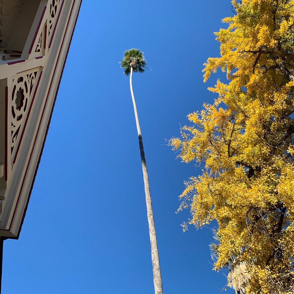 Meet your Posher, Judy